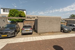 Palisander 354-51.jpg